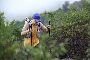 BIB: 
                            <button type="button" onclick="openModal(24760879)" class="btn btn-primary btn-sm float-right btn-popup" data-toggle="modal" data-target=".modal-high-quality">
                        <i class="fas fa-shopping-cart"></i> Add to Cart
                    </button>
                                            <button type="button" onclick="isThisMe(24760879, true)" class="btn btn-success btn-sm float-right btn-popup btn-isme hidden" data-toggle="tooltip" data-placement="bottom" title="นี่คือรูปของคุณใช่ไหม คลิกที่นี่เพื่อเอาเข้าอัลบั้ม">
                        <i class="fas fa-plus"></i> Add to album
                    </button>
                    <button type="button" onclick="isThisMe(24760879, false)" class="btn btn-warning btn-sm float-right btn-popup btn-isnotme hidden">
                        <i class="fas fa-ban"></i> Remove from album
                    </button>